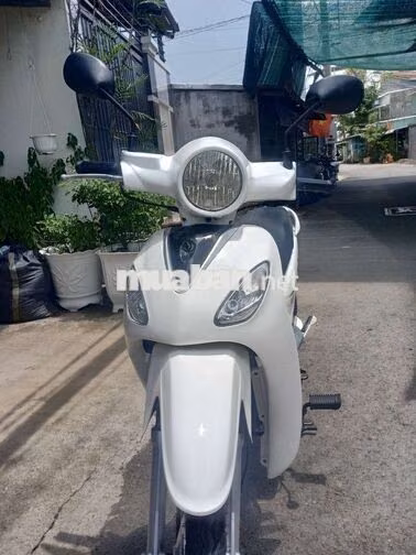 SYM Angela 50cc 2017 Trắng