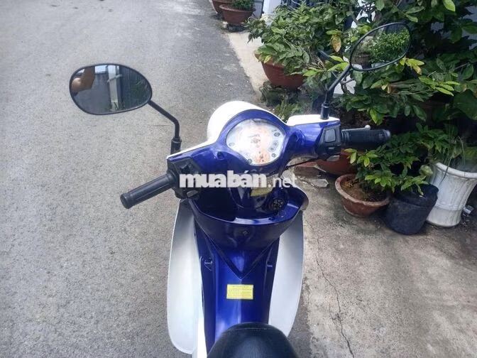 SYM Angela 50cc 2017 Trắng
