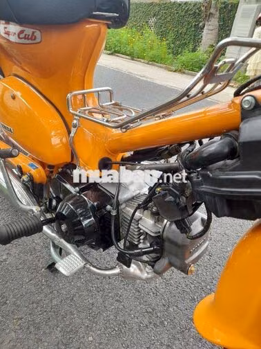 Honda Cub 50 Vàng