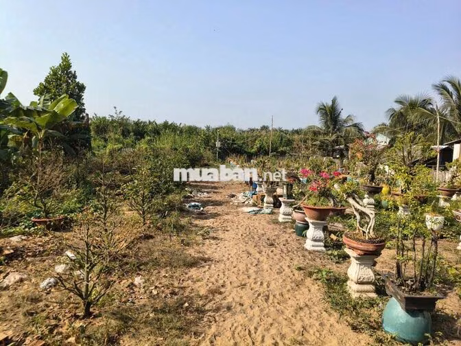 Cần bán đất mặt tiền đường Trương Văn Đa - Bình Chánh