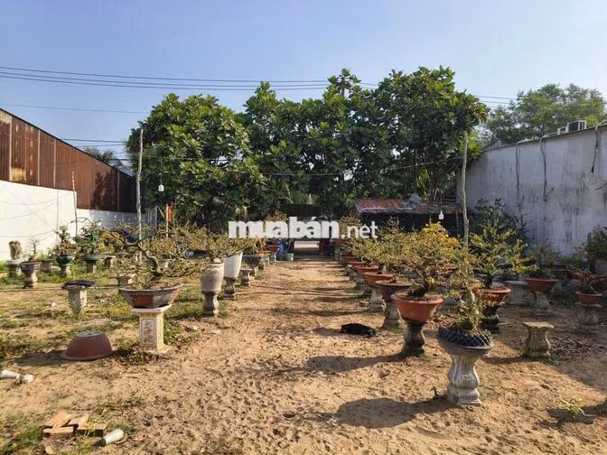 Cần bán đất mặt tiền đường Trương Văn Đa - Bình Chánh