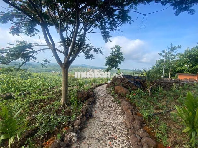 🔥 CHỈ HƠN 900 TRIỆU - CÓ MẢNH VƯỜN 1.500M² SỞ HỮU 3 TẦM VIEW CỰC PHẨM!