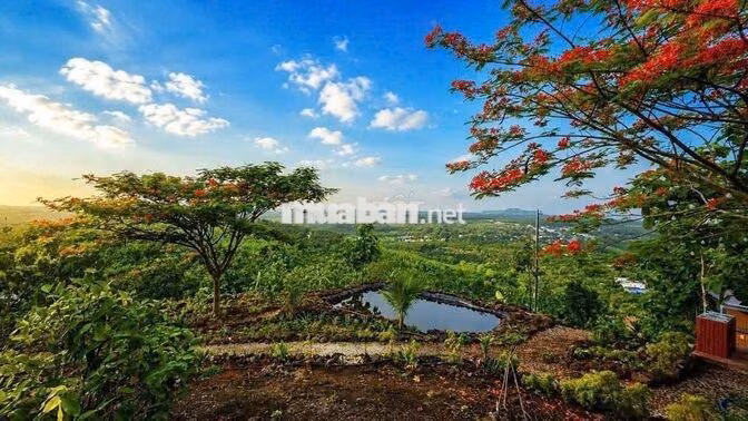 🔥 CHỈ HƠN 900 TRIỆU - CÓ MẢNH VƯỜN 1.500M² SỞ HỮU 3 TẦM VIEW CỰC PHẨM!