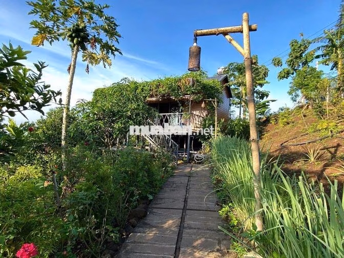 🔥 CHỈ HƠN 900 TRIỆU - CÓ MẢNH VƯỜN 1.500M² SỞ HỮU 3 TẦM VIEW CỰC PHẨM!