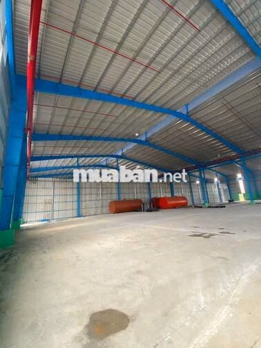 xưởng từ 3000m²_100.000m² giá 45k/m² Thủ Thừa Long An