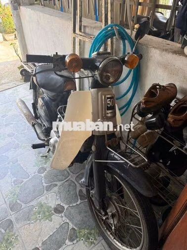 Honda Cub Trắng, Đen
