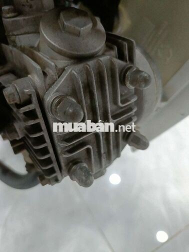 Wave 50cc 2022 Cam Zin