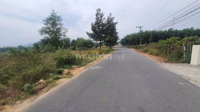 Công ty Đấu giá hợp danh Lam Sơn Sài Gòn THÔNG BÁO ĐẤU GIÁ TÀI SẢN