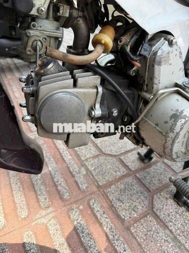 Honda Dream Hàn Quốc Nâu, Trắng
