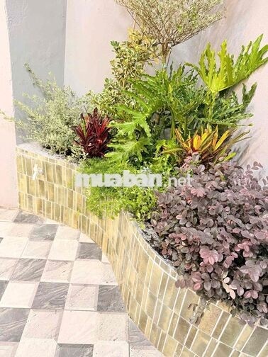 Mình Bán Nhà Chính Chủ ko quy hoạch ( gửi phí 60tr )
