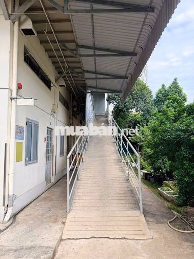 CHO THUÊ NHÀ TRỌ ANH THƯ – VĨNH PHÚ, THUẬN AN