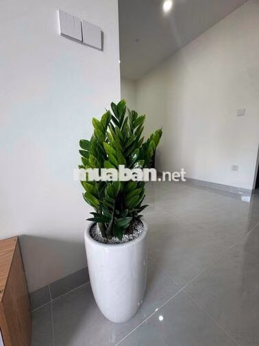 CHO THUÊ 1PN1W full nội thất như hình giá 7tr/tháng - ở ngay