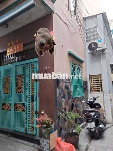 Nhà hẻm 233 nguyễn trãi ,quận 5