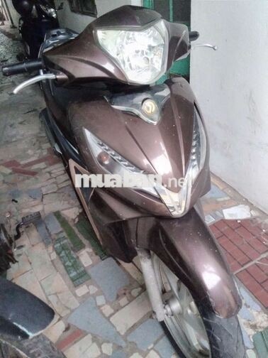 SYM Shark 125 125cc Nâu
