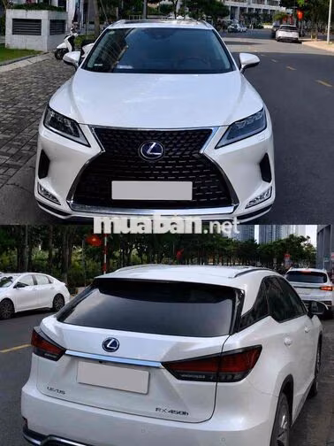Lexus RX 450h 2019 Trắng Hybrid 34.000km