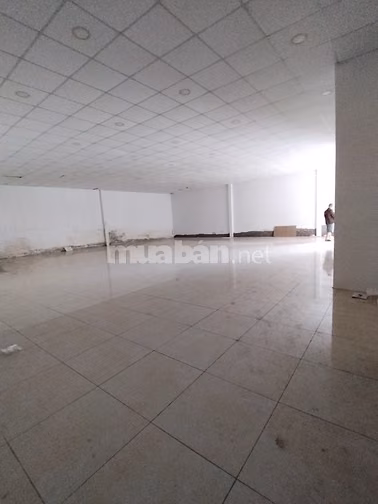 Cho thuê kho xưởng VP hẻm đẹp container Trương Công Định 12x20m 28tr 
