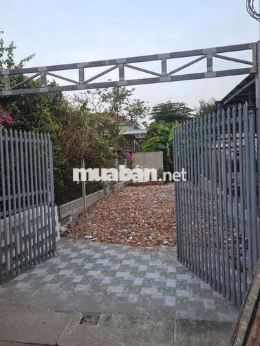 Chính chủ bán đất Củ Chi- Tân Thông Hội