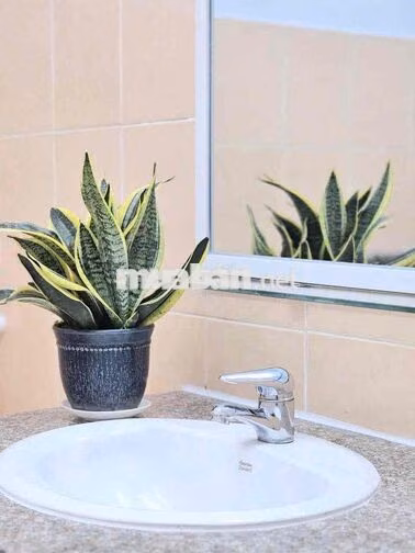 CHO THUÊ CĂN HỘ MINI NHÀ VƯỜN NỘI THẤT ĐẦY ĐỦ