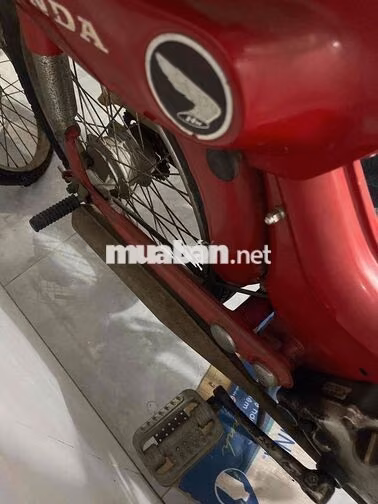 honda pc50 cổ