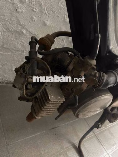 Honda PC 50cc Đen, Kem