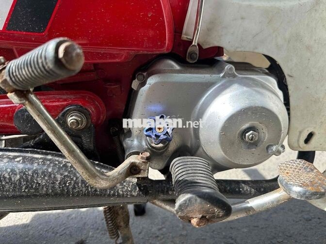 Honda Dede Đỏ Trắng