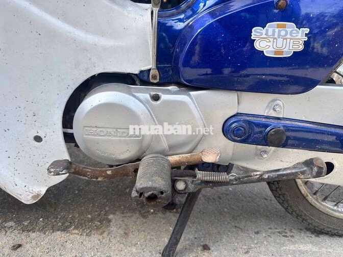 Honda Cub 81 50cc Xanh Trắng