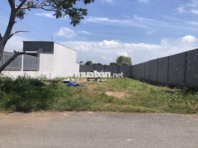Bán đất thổ cư, đường xe hơi quay đầu, xã Tân Thạnh Đông, 12x30m, 4tỷ9