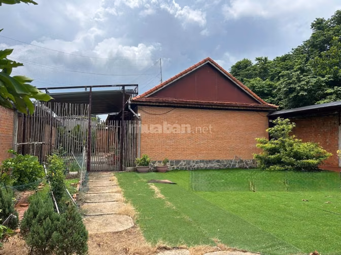 Bán đất tặng nhà vườn 556m2-1tỷ150 Tỉnh Lộ 2, xã Tân Phú Trung, Củ Chi