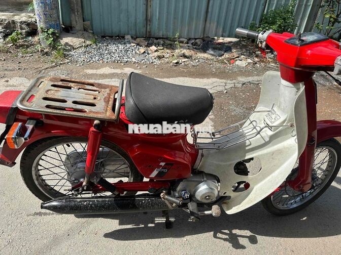 Honda Dede Đỏ Trắng