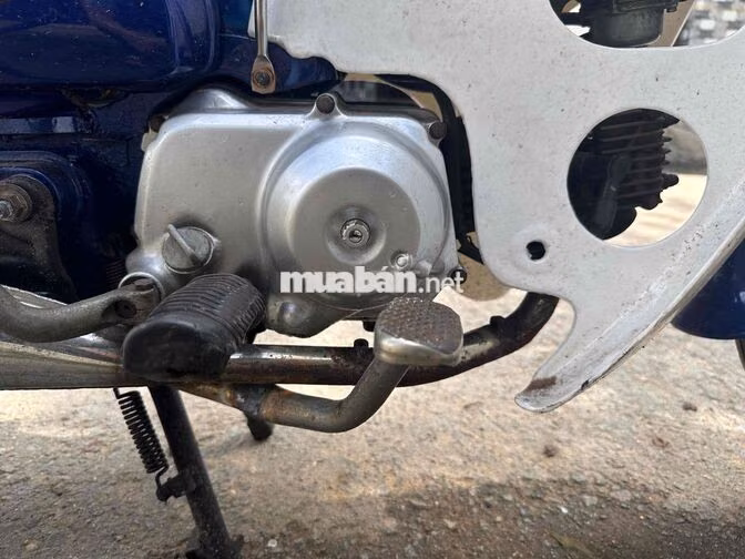 Honda Cub 81 50cc Xanh Trắng