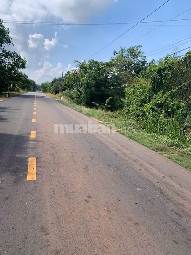 (Chính chủ bán) đất 2 mặt tiền DT749A,TP.HCM.