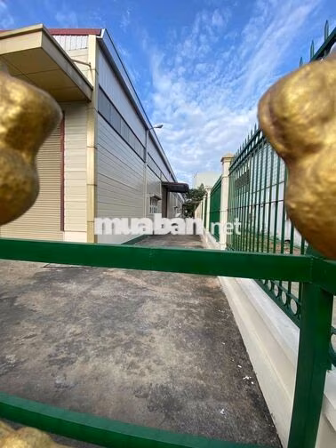 Bán 3000m2 kho xưởng KCN Đức Hoà