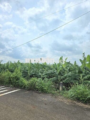 Bán 2000m2 Đất mặt tiền Tây Kim - Suối Đá - QL20 - Thống Nhất Gia Kiệm