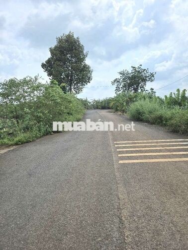 Bán 2000m2 Đất mặt tiền Tây Kim - Suối Đá - QL20 - Thống Nhất Gia Kiệm