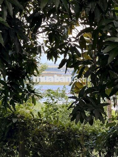 Hàng ngộp hơn 2.100m2 giáp Hồ Trị An có sẵn thổ cư còn thương lượng