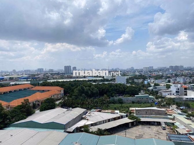 🏠 CHÍNH CHỦ CẦN BÁN CĂN HỘ CHUNG CƯ LÊ THÀNH TÂN TẠO