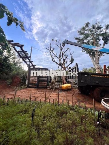 cho thuê dài hạn hoặc bán nhà vườn