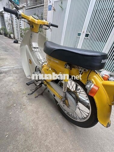 Honda Cup Nhật 50cc Vàng
