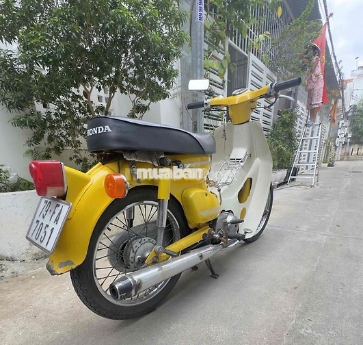 Honda Cup Nhật 50cc Vàng
