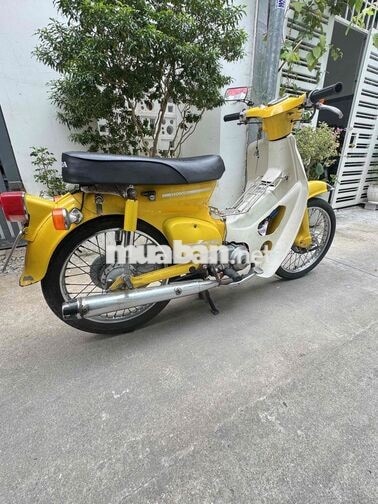 Honda Cup Nhật 50cc Vàng