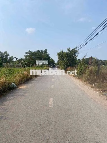 NHỈNH 5 TỶ - 1324M2 - CÂY LÂU NĂM - THỚI TAM THÔN -HÔC MÔN