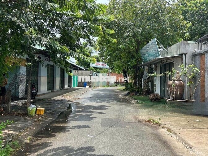 Bán đất tặng nhà vườn 556m2-1tỷ150 Tỉnh Lộ 2, xã Tân Phú Trung, Củ Chi