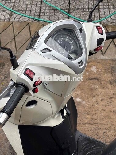 Honda Lead 4Val 2023 Trắng