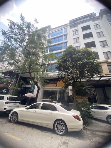 CHO THUÊ NHÀ NGUYÊN CĂN NGÕ 60 VŨ PHẠM HÀM - KINH DOANH, VĂN PHÒNG