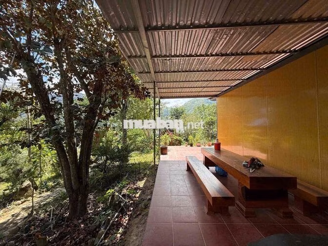 CHO THUÊ 3 NHÀ SÂN VƯỜN NGHỈ DƯỠNG BIỆT LẬP 2000m2