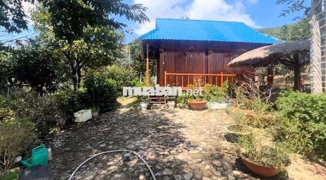 CHO THUÊ 3 NHÀ SÂN VƯỜN NGHỈ DƯỠNG BIỆT LẬP 2000m2