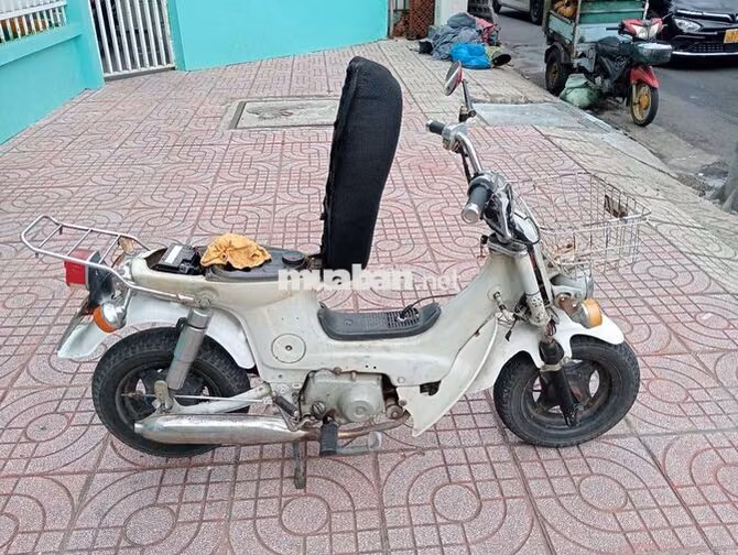 Honda Chaly Trắng