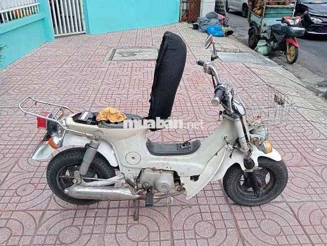 Honda Chaly Trắng