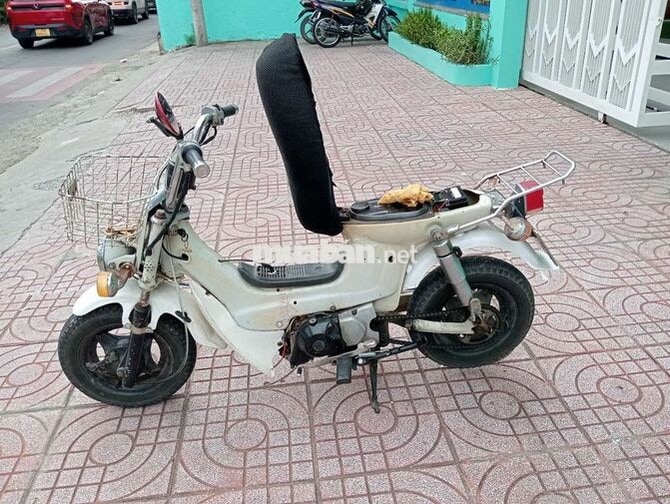 Honda Chaly Trắng
