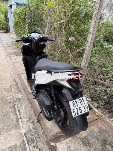 Honda Click Thái 125 2014 Trắng
